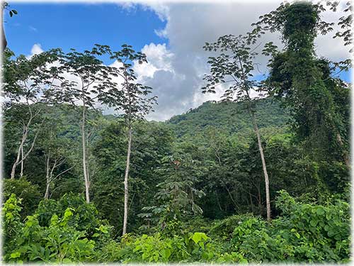 puntarenas, miramar, lots for sale, tranquil lifestyle, easy access