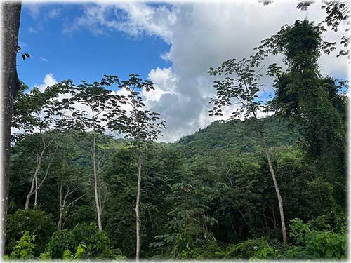 puntarenas, miramar, lots for sale, tranquil lifestyle, easy access