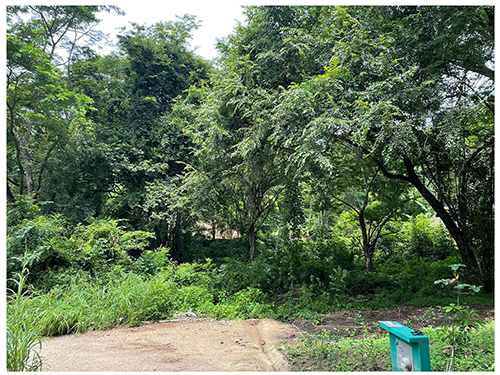 paquera, lot, invest, Puntarenas, land for sale, nature