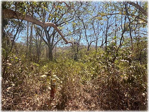 beach lot, paquera, for sale, land for sale, playa organos