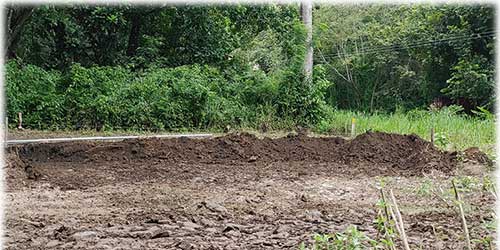 beach lot, paquera, for sale, land for sale, playa organos