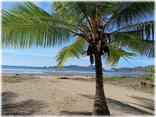 beach lot, paquera, for sale, land for sale, playa organos
