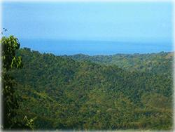 costa rica real estate, for sale, residential lots, mountain, dominical real estate