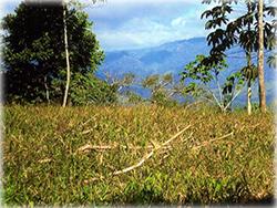 costa rica real estate, for sale, residential lots, mountain, dominical real estate