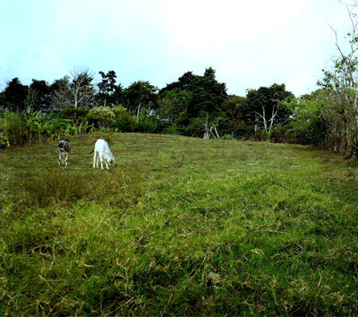 Ready to Build Lot with Splendid Views in San Antonio, Escazu