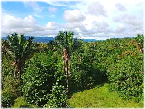 montezuma real estate, personal paradise, land for sale, lots in montezuma, pacific, costa rica, investment
