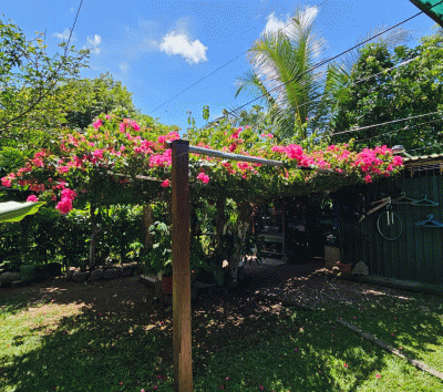 3-Bedroom Home for Sale in Paquera, Costa Rica