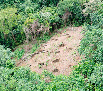 10-Hectare Estate in San Buenas: Premier Location Near Golf, Beaches & Jungle in Costa Rica’s South Pacific