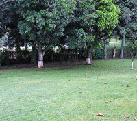 Costa Rica Real Estate