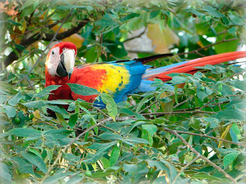 Costa Rica 