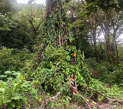 Walking Distance Cocles Prime Plot with Ylang-Ylang Scented Forest