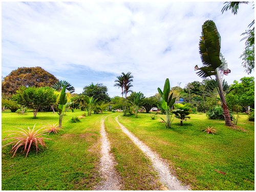 self-sufficient farm with aquaculture Costa Rica, tropical fruit orchard property Costa Rica, food production property Costa Rica,