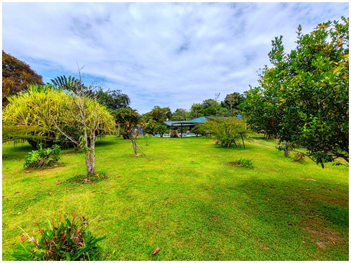 self-sufficient farm with aquaculture Costa Rica, tropical fruit orchard property Costa Rica, food production property Costa Rica,