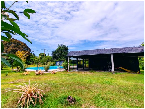 self-sufficient farm with aquaculture Costa Rica, tropical fruit orchard property Costa Rica, food production property Costa Rica,