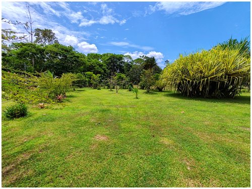 self-sufficient farm with aquaculture Costa Rica, tropical fruit orchard property Costa Rica, food production property Costa Rica,