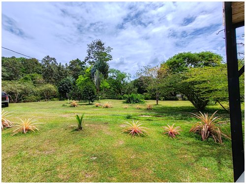 self-sufficient farm with aquaculture Costa Rica, tropical fruit orchard property Costa Rica, food production property Costa Rica,