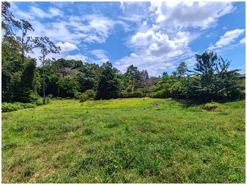 self-sufficient farm with aquaculture Costa Rica, tropical fruit orchard property Costa Rica, food production property Costa Rica,