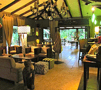 Thriving Fusion Cusine Restaurant in Coastal Town of Ojochal