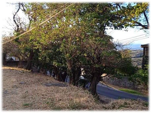 santa ana, city properties, land for sale, development opportunity, investment, lots for sale, ruta 27, commercial
