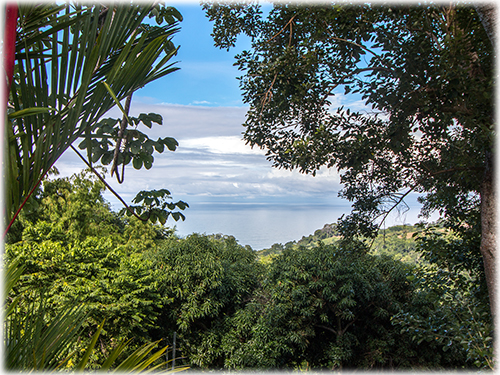jungle surroundings, ocean views, pool, privacy, beach properties, mountainside, bahia ballena, beach, south pacific real estate