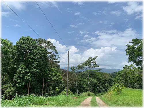 Punta Uva Beach, Paraiso, Community, Naturelovers, Farm, Raw land, fruit trees, creek, waterfront, Puerto Viejo