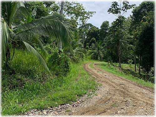 Punta Uva Beach, Paraiso, Community, Naturelovers, Farm, Raw land, fruit trees, creek, waterfront, Puerto Viejo