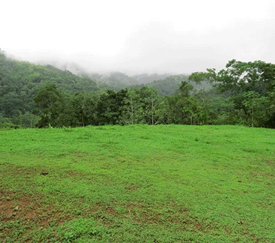 Jungle & River Community Property in Uvita