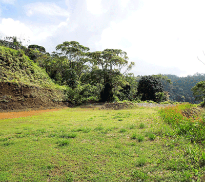One of the Last Remaining Estate Lots in the Best Development on the Costa Ballena