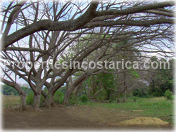Orotina land, for sale, Pacific Highway land, lots, new highway lots, investment opportunity, Costa Rica new highway,