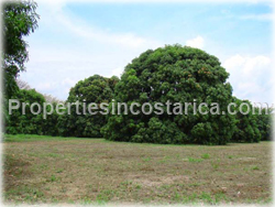 Orotina land, for sale, Pacific Highway land, lots, new highway lots, investment opportunity, Costa Rica new highway,