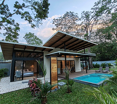 Designer home meets the jungle