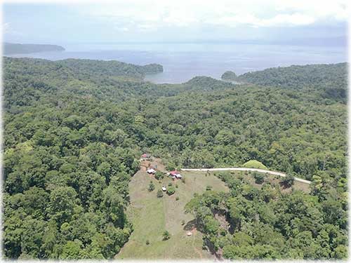 osa peninsula, investment, puntarenas, south pacific, easy access, tranquil location, parcel, land for sale