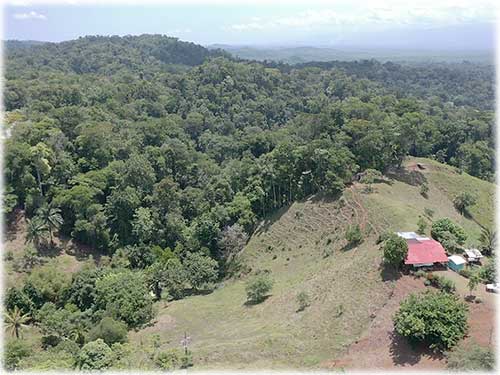 osa peninsula, investment, puntarenas, south pacific, easy access, tranquil location, parcel, land for sale