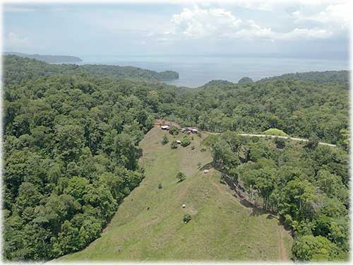 osa peninsula, investment, puntarenas, south pacific, easy access, tranquil location, parcel, land for sale