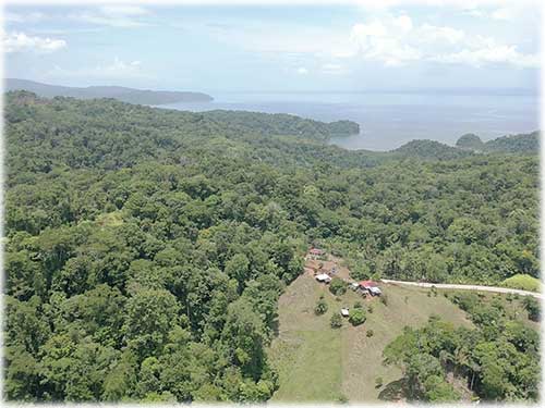 osa peninsula, investment, puntarenas, south pacific, easy access, tranquil location, parcel, land for sale