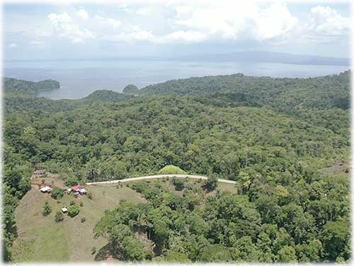 osa peninsula, investment, puntarenas, south pacific, easy access, tranquil location, parcel, land for sale