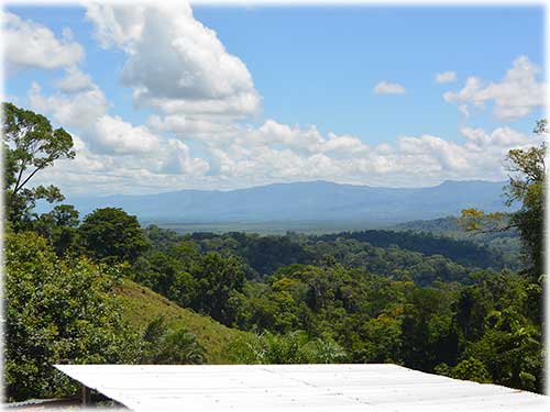 osa peninsula, investment, puntarenas, south pacific, easy access, tranquil location, parcel, land for sale