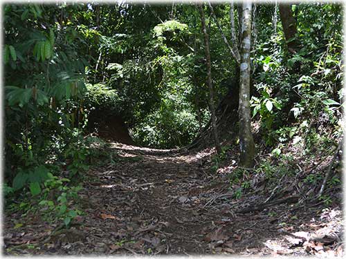 osa peninsula, investment, puntarenas, south pacific, easy access, tranquil location, parcel, land for sale