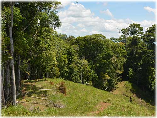 osa peninsula, investment, puntarenas, south pacific, easy access, tranquil location, parcel, land for sale