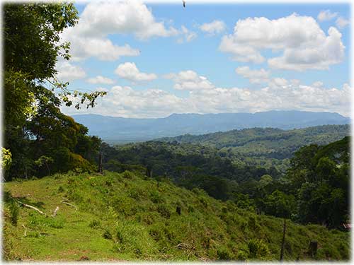 osa peninsula, investment, puntarenas, south pacific, easy access, tranquil location, parcel, land for sale