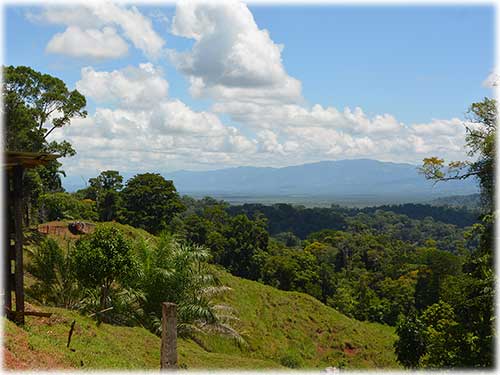 osa peninsula, investment, puntarenas, south pacific, easy access, tranquil location, parcel, land for sale