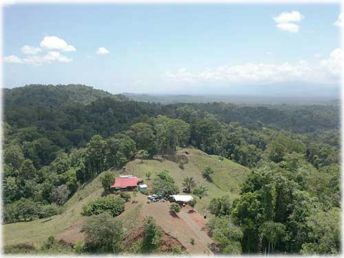 osa peninsula, investment, puntarenas, south pacific, easy access, tranquil location, parcel, land for sale