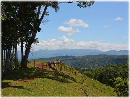 osa peninsula, investment, puntarenas, south pacific, easy access, tranquil location, parcel, land for sale