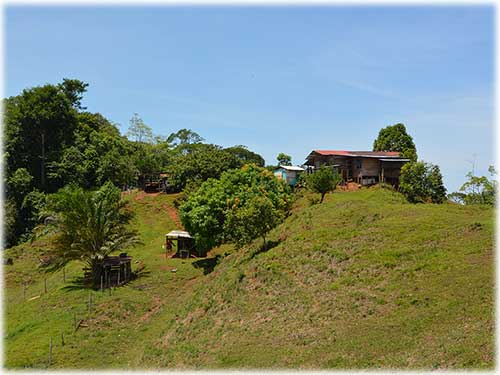 osa peninsula, investment, puntarenas, south pacific, easy access, tranquil location, parcel, land for sale