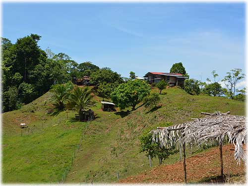 osa peninsula, investment, puntarenas, south pacific, easy access, tranquil location, parcel, land for sale