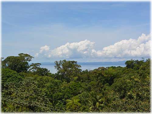 osa peninsula, investment, puntarenas, south pacific, easy access, tranquil location, parcel, land for sale