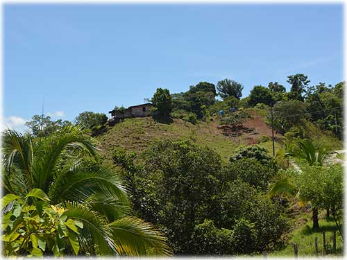 osa peninsula, investment, puntarenas, south pacific, easy access, tranquil location, parcel, land for sale