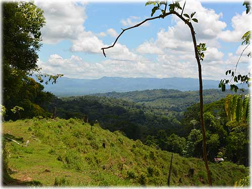 osa peninsula, investment, puntarenas, south pacific, easy access, tranquil location, parcel, land for sale