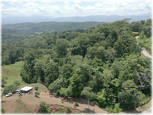 osa peninsula, investment, puntarenas, south pacific, easy access, tranquil location, parcel, land for sale