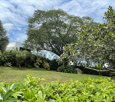 Lot for Sale in Residential Lomas de Hidalgo